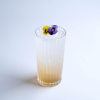 Elderflower Collins 1