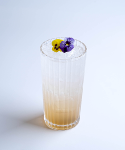 Elderflower Collins 1