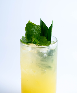 Tropical Punch 2